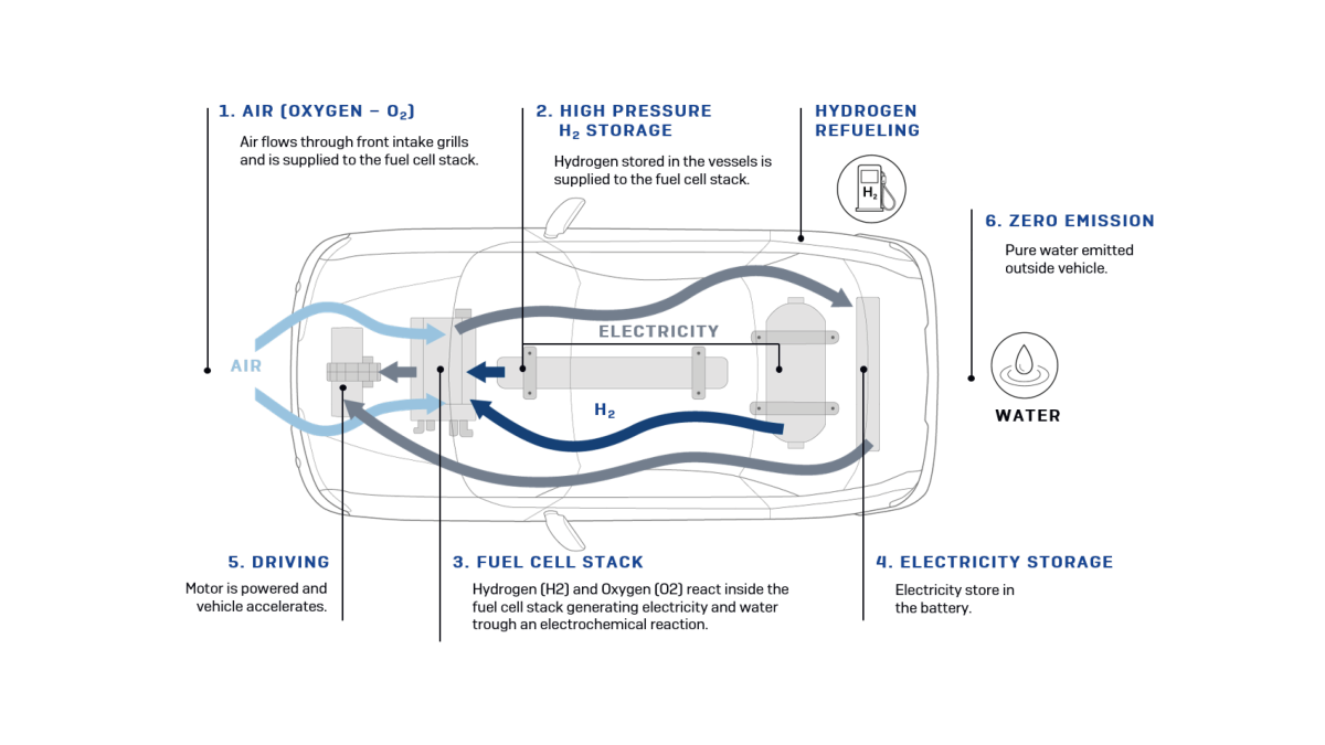 Infographic Hybrid 